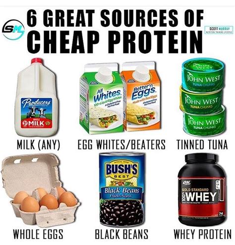 cheap foods that are high in protein
